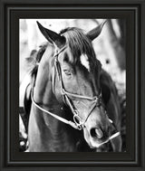 Derby I By Susan Bryant - Framed Print Wall Art - Dark Gray