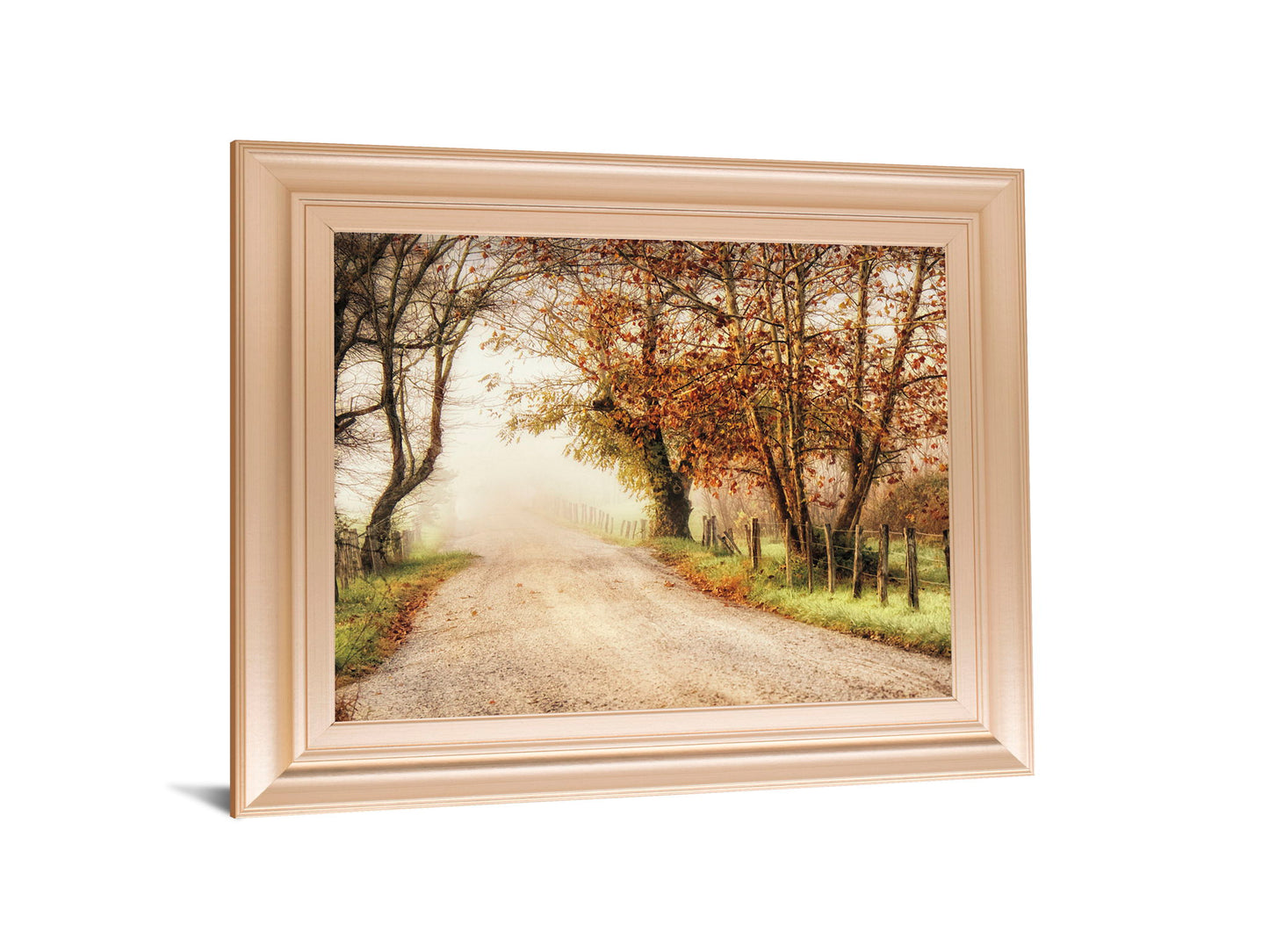 Fog Ahead By D. Burt - Framed Print Wall Art - Beige