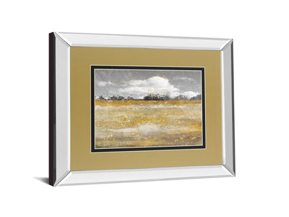 Meadow Shimmer Il By Nan - Mirror Framed Print Wall Art - Light Brown