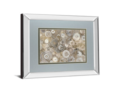 Natural Agate By Albena Hristova - Mirror Framed Print Wall Art - Beige