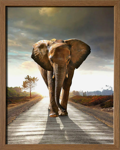 Wildlife & Meadowscape - 17" x 21" Framed Wall Art - Dark Brown