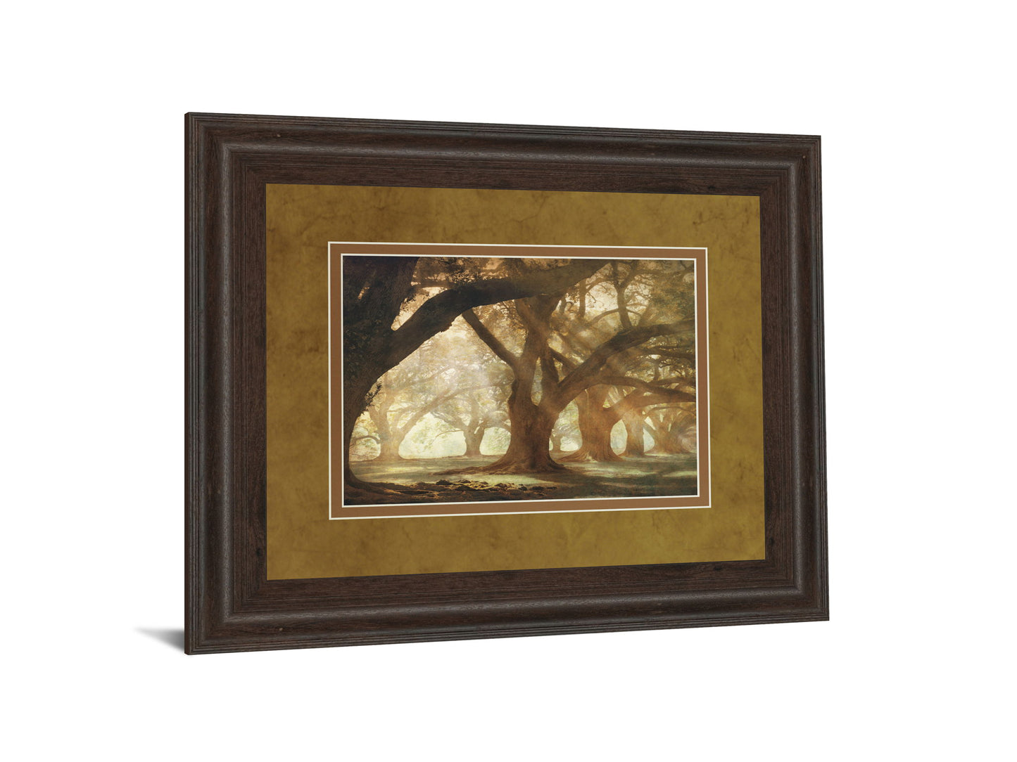 Oak Alley Morning Light By William Guion - Framed Print Wall Art - Light Brown
