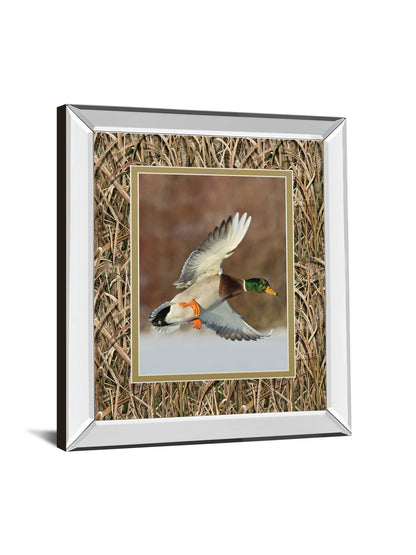 Flying Mallard By Steve Oehlenschlager Mirror Framed Mossy Oak Native Living Print - Light Brown