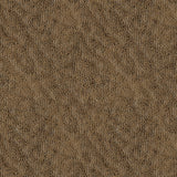 Revived and Restored Living Room