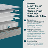 Soothing Nights - 10" Plush Pillow Top Mattress In A Box