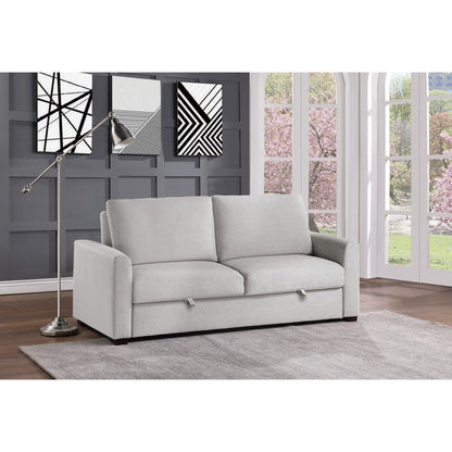 Price - Convertible Studio Sofa With Pull-Out Bed - Gray