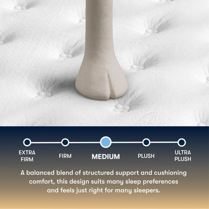 Perfect Sleeper - 13" Cascade Canyon Medium Mattress