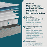 Soothing Nights - 12" Plush Pillow Top Mattress In A Box