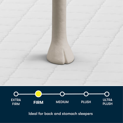 Perfect Day - 7" Serta Firm Mattress in a Box