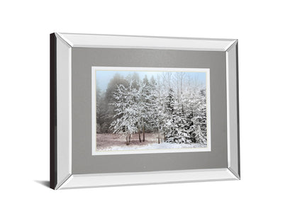 Frosty Morning By Mike Jone - Mirror Framed Print Wall Art - Gray