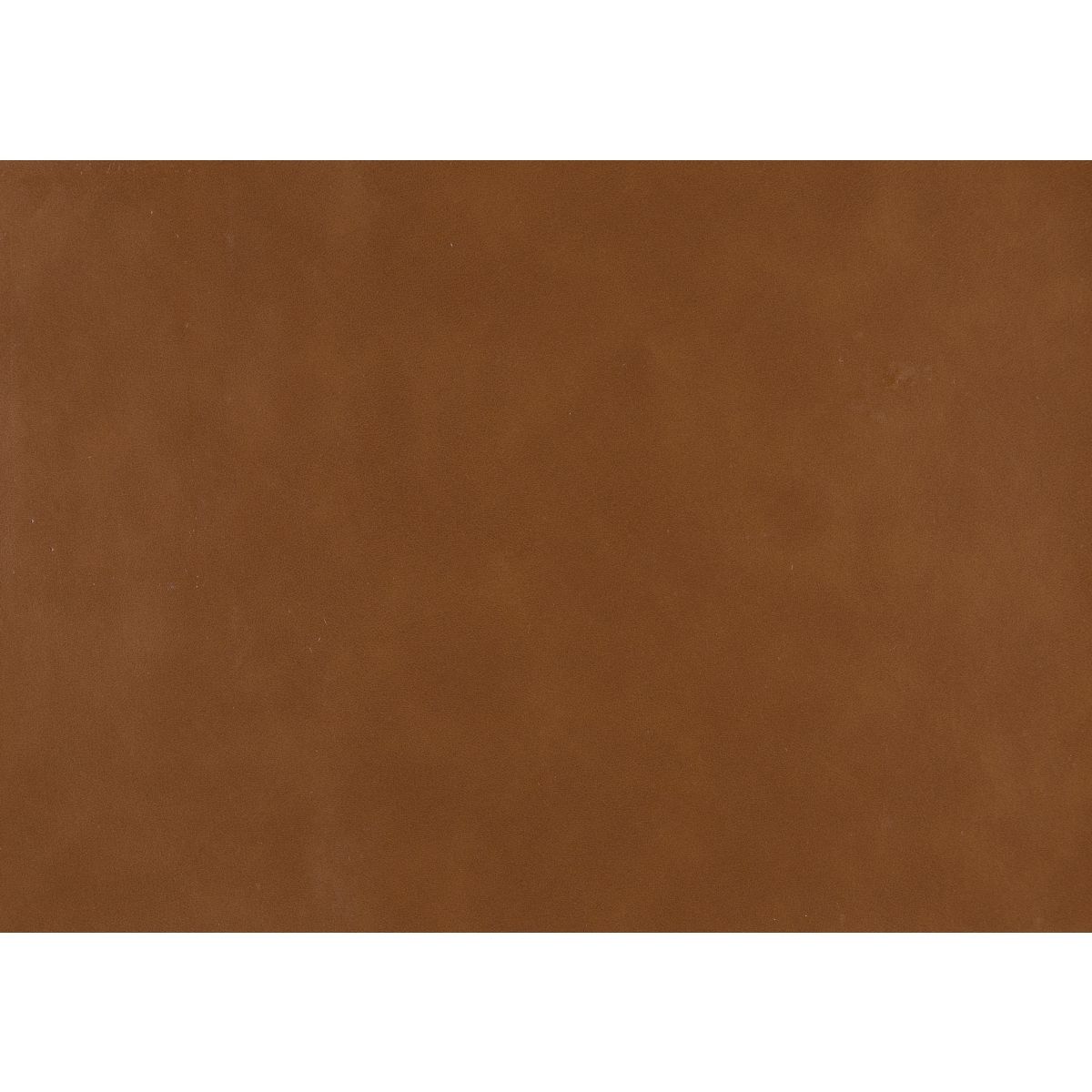 Wilcox - Daybed With Trundle - Brown