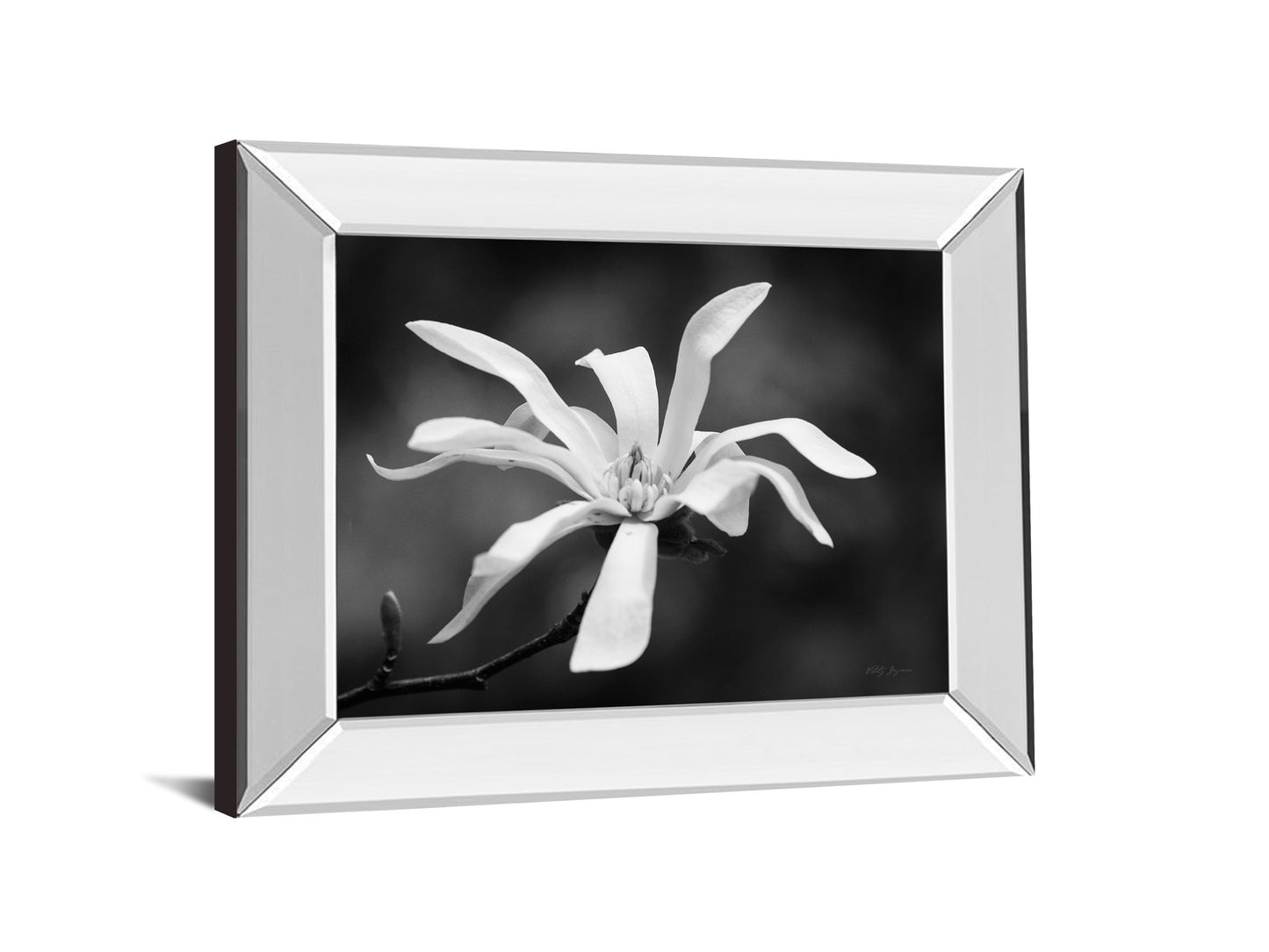 Magnolia Dreams I By Geyman Vitaly - Mirror Framed Print Wall Art - Dark Gray