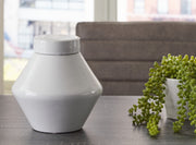 Furniture City - MS - Ashley Furniture - Domina Jar (Set of 2) - Jar (2/CS) / White - A2000485