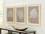 Furniture City - MS - Ashley Furniture - Hendridge Wall Decor - Wall Art Set (3/CN) / Taupe/White - A8000486
