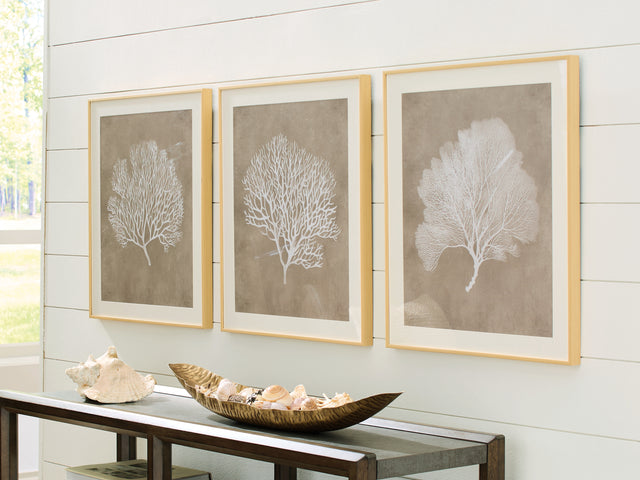 Furniture City - MS - Ashley Furniture - Hendridge Wall Decor - Wall Art Set (3/CN) / Taupe/White - A8000486