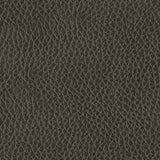 Center Line Sectional