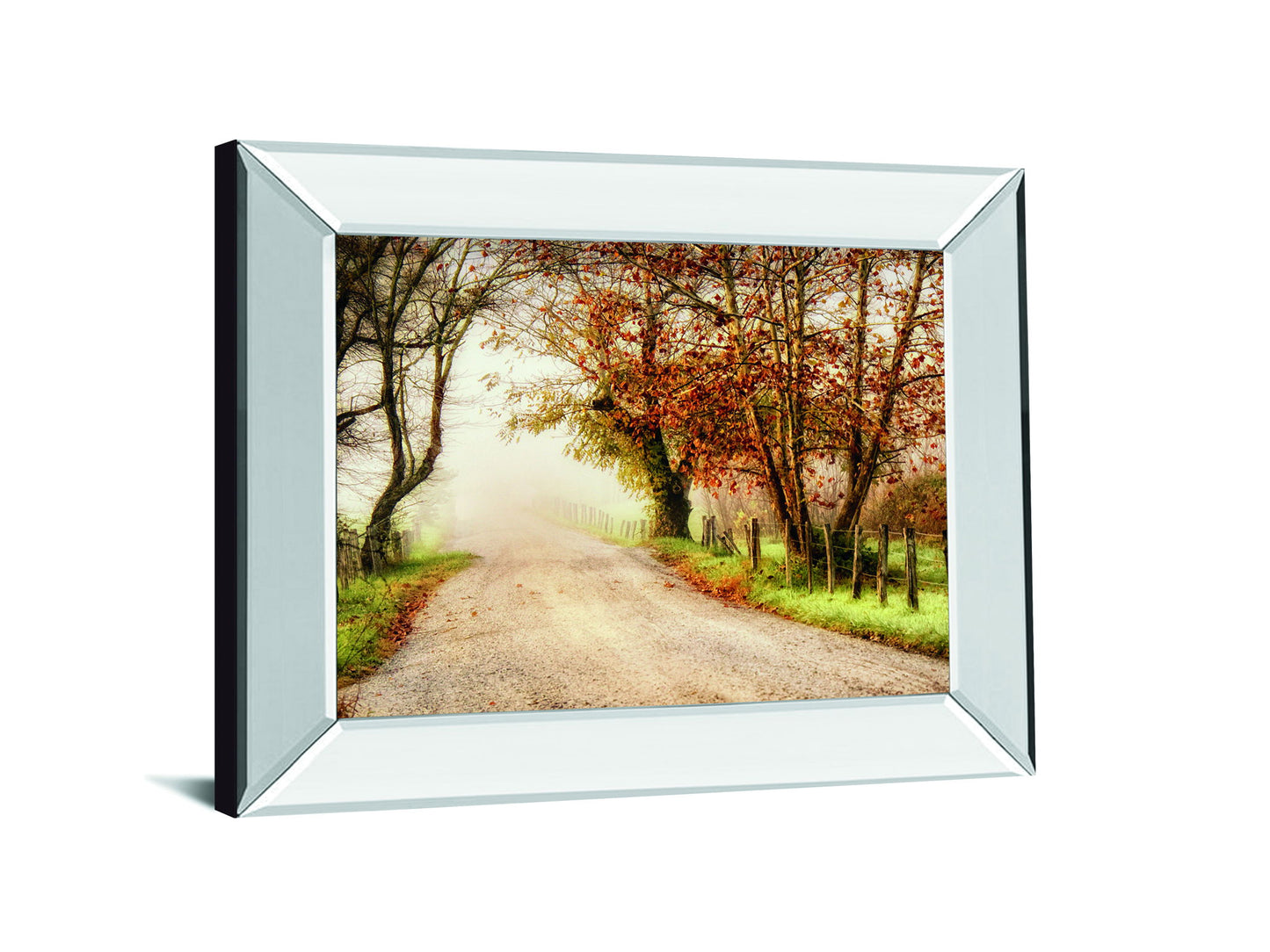 Fog Ahead By D. Burt - Mirror Framed Print Wall Art - Beige