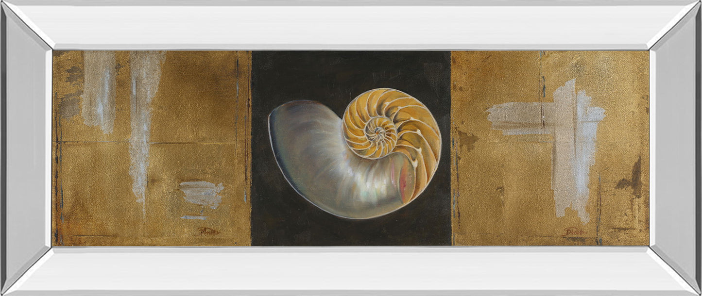 Seashells Il By Patricia Pinto - Mirror Framed Print Wall Art - Gold