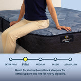 Perfect Sleeper - 14" Euphoric Nights Hybrid Firm Mattress