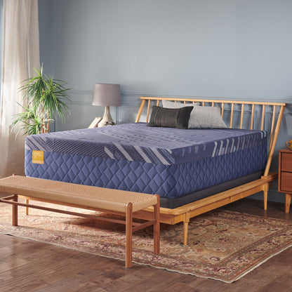 Golden Elegance - Forsyth Park Soft Mattress