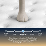 Perfect Sleeper - 14" Cascase Canyon Firm Pillow Top Mattress