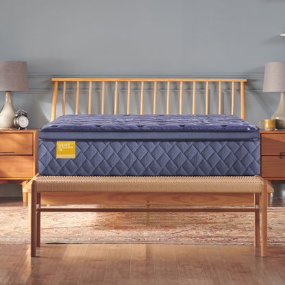 Golden Elegance - Forsyth Park Soft Euro Pillow Top Mattress