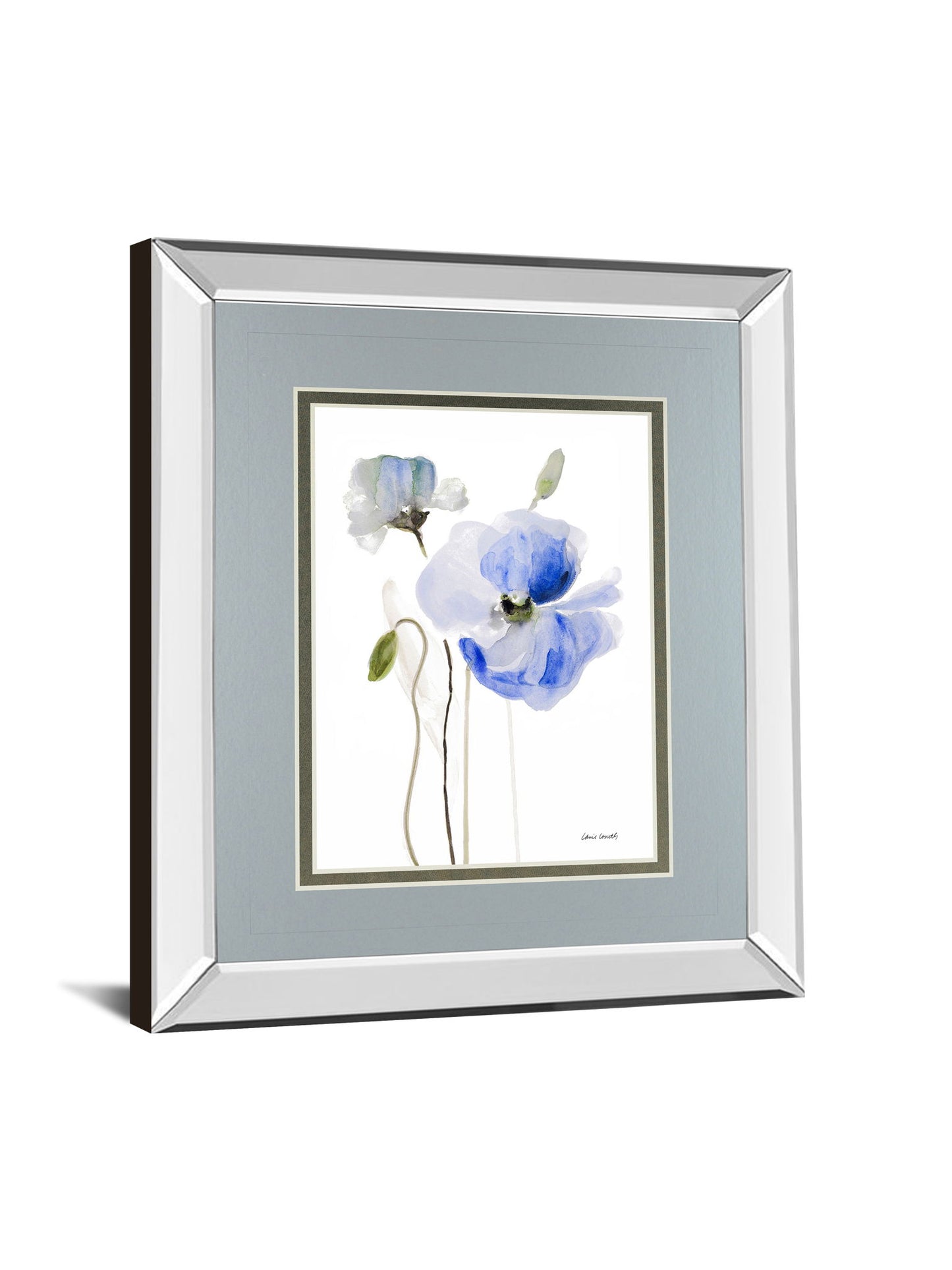 All Poppies I By Lanie Loreth - Mirror Framed Print Wall Art - Gray