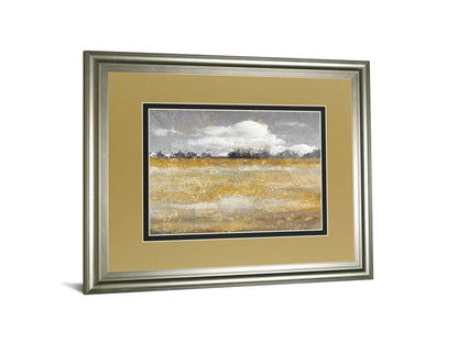 Meadow Shimmer Il By Nan - Framed Print Wall Art - Light Brown