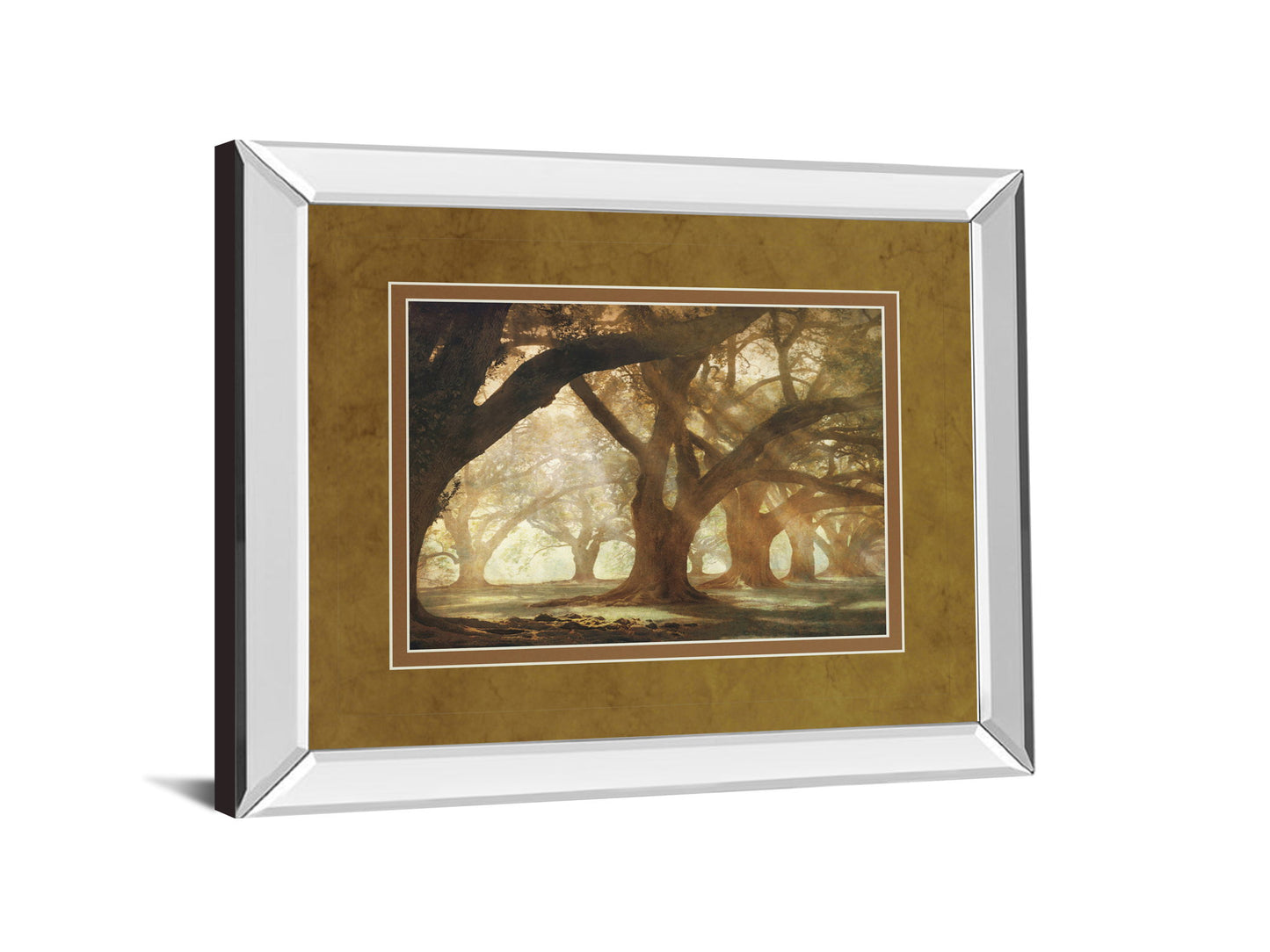 Oak Alley Morning Light By William Guion - Mirror Framed Print Wall Art - Light Brown