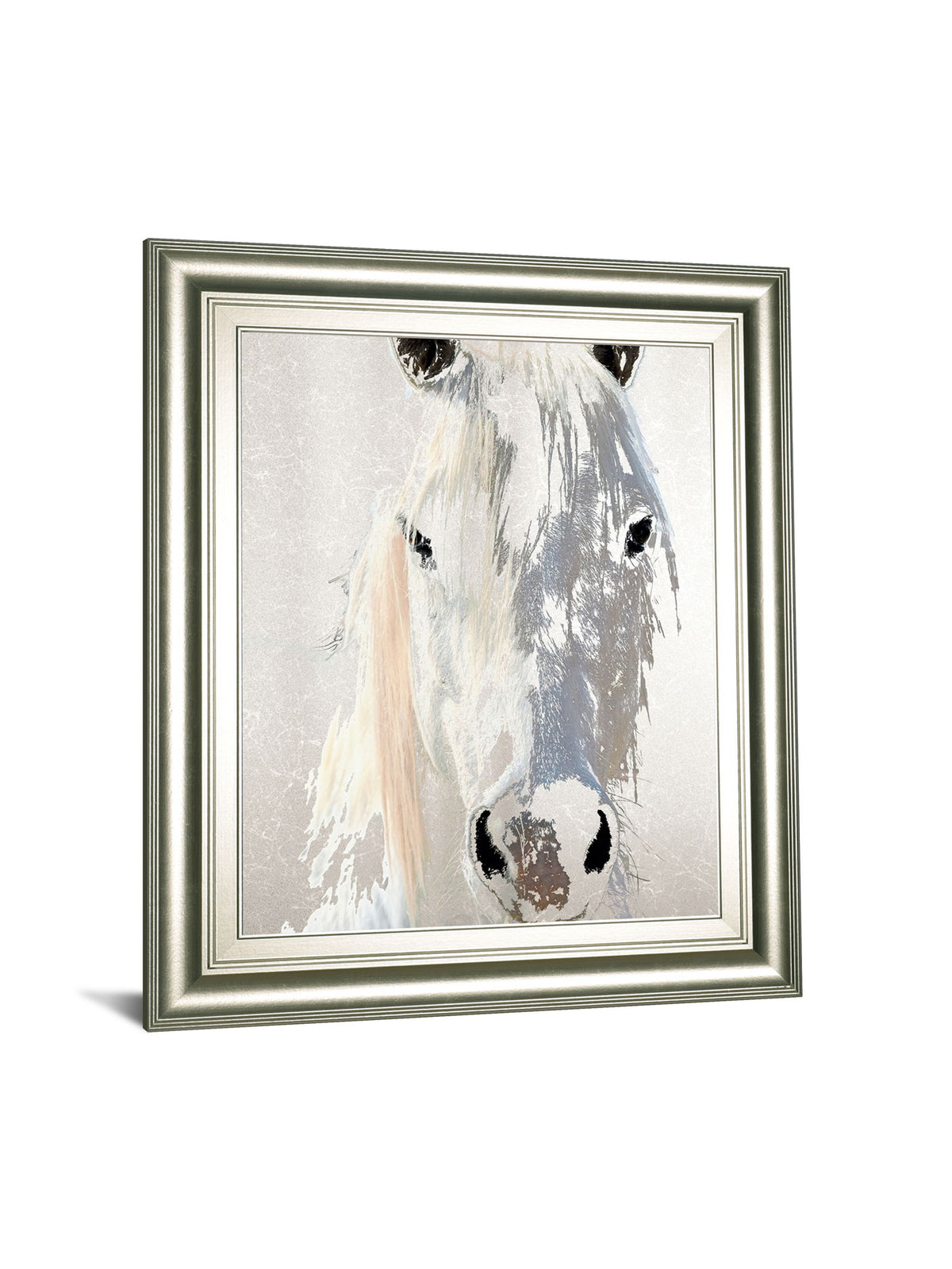 Sage By Marvin Pelkey - Framed Print Wall Art - Silver