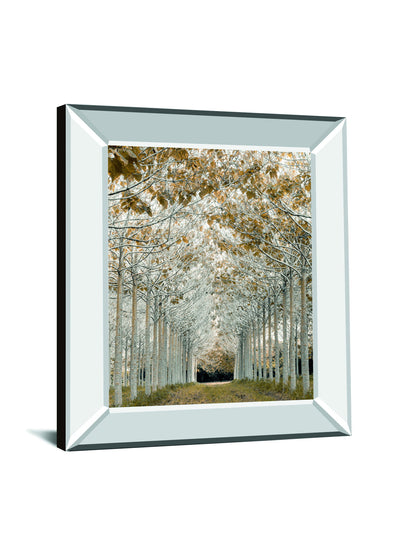 White Gold By Assaf Frank - Mirror Framed Print Wall Art - Silver