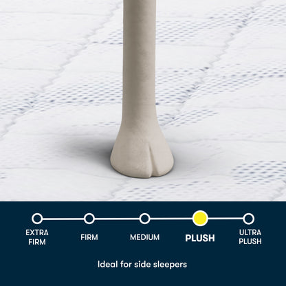 Perfect Day - 10" Serta Plush Pillow Top Mattress in a Box