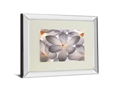Petal Perfect By Assaf Frank - Mirror Framed Print Wall Art - Beige