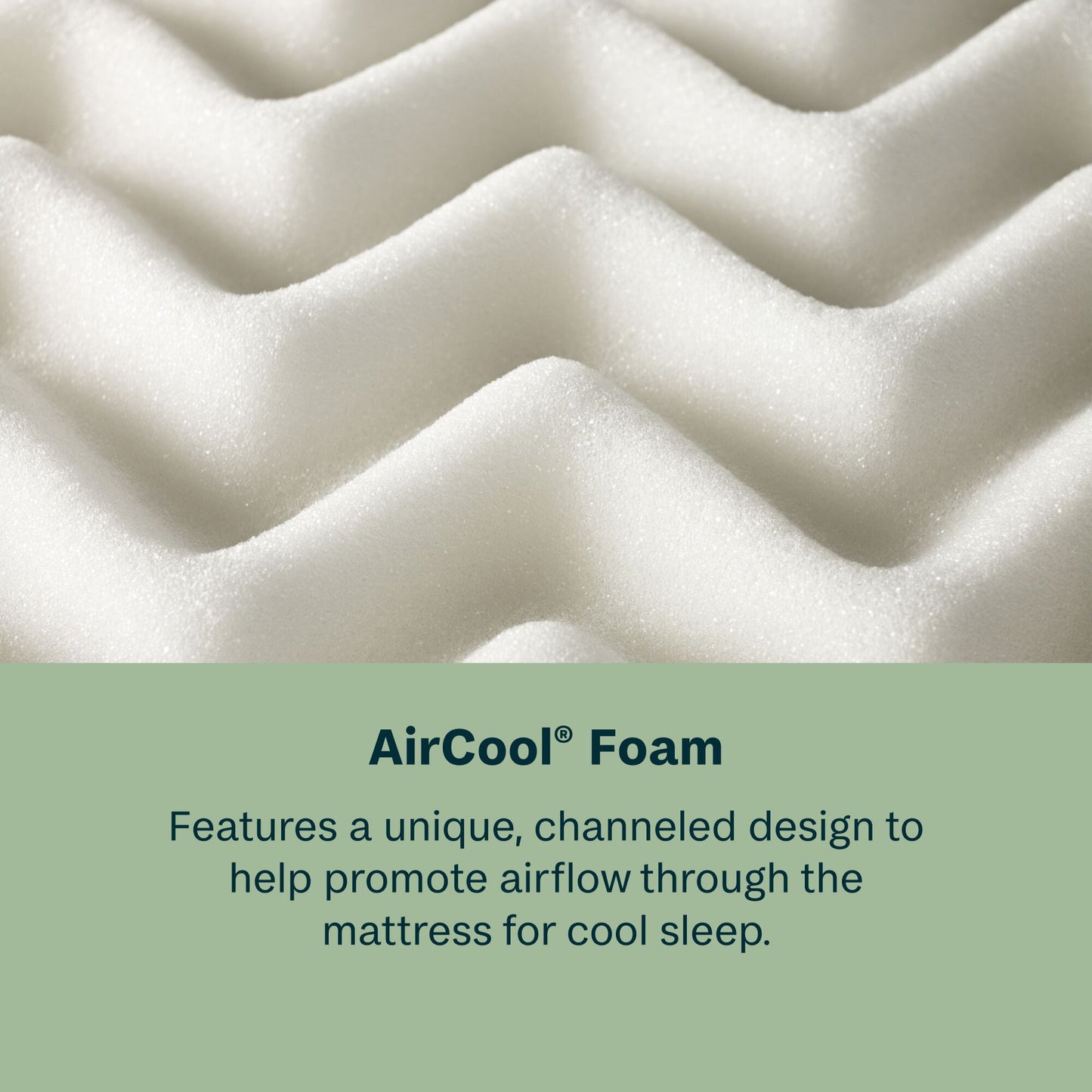 Peaceful Morning - 11.5" Firm Mattress