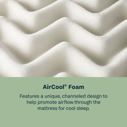 Peaceful Morning - 14.25" Medium Pillow Top Mattress