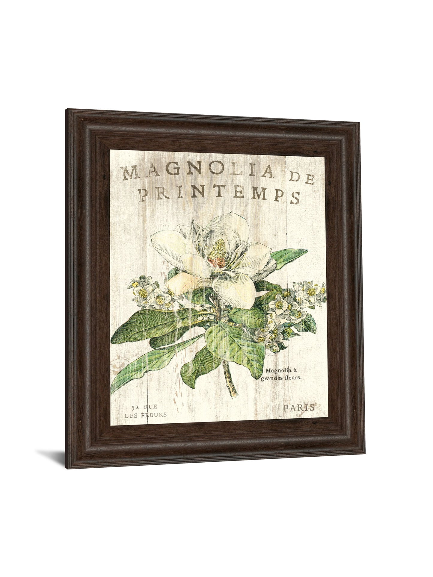 Magnolia De Printemps By Sue Schlabach - Framed Print Wall Art - Beige