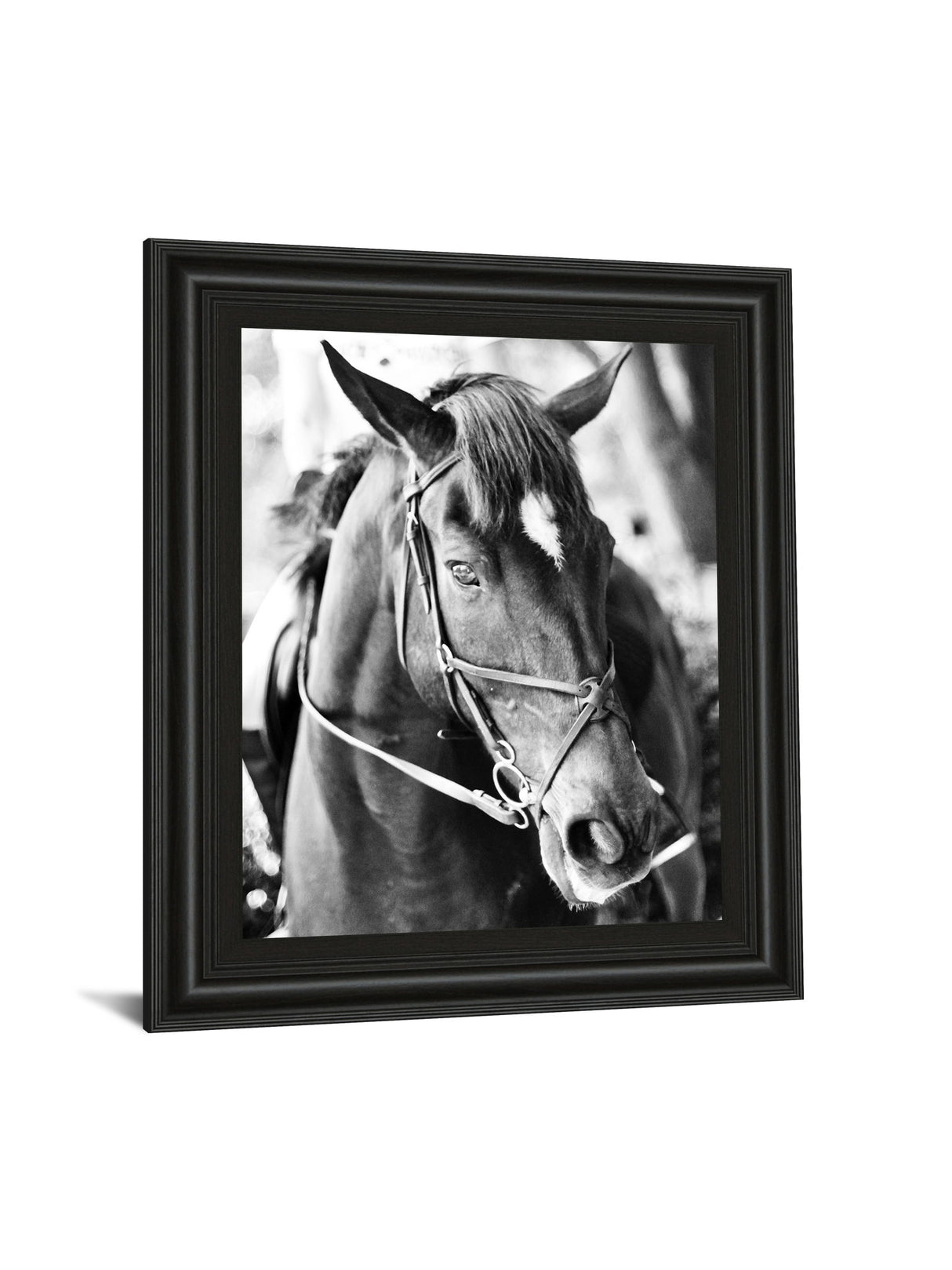 Derby I By Susan Bryant - Framed Print Wall Art - Dark Gray