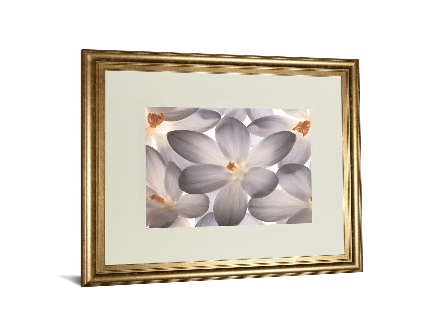 Petal Perfect By Assaf Frank - Framed Print Wall Art - Beige