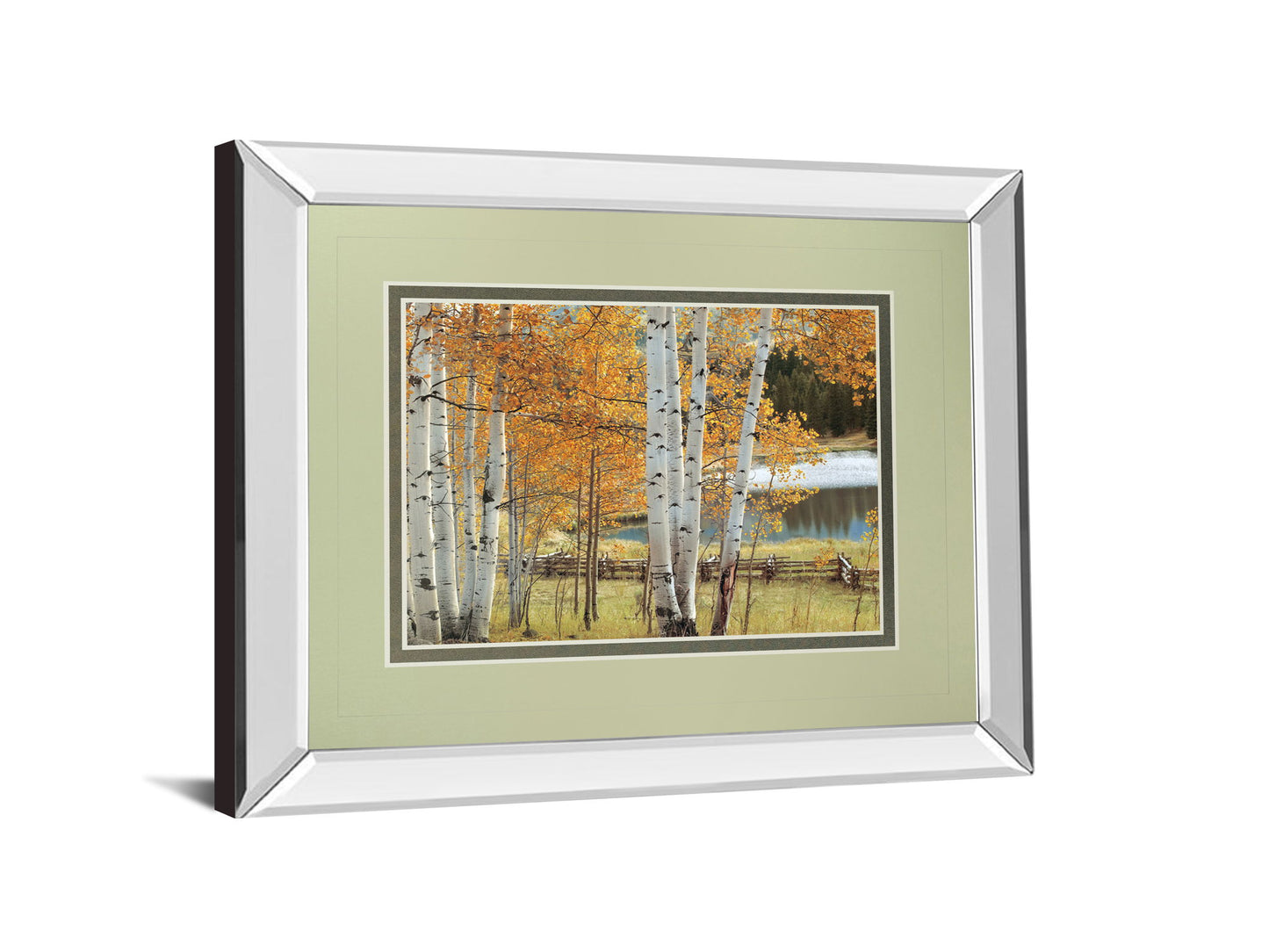 Birch Beauty By Mike Jones - Mirror Framed Print Wall Art - Light Brown