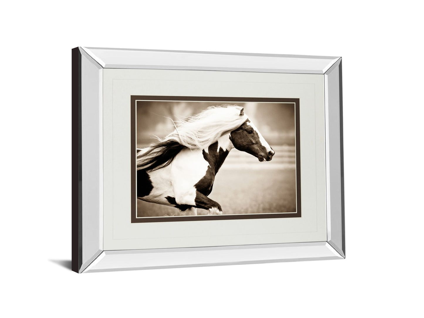 Gypsies Pride By Carol Walker - Mirror Framed Print Wall Art - Light Brown