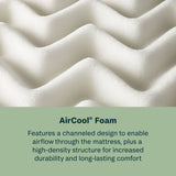 Soothing Nights - 10" Plush Pillow Top Mattress In A Box