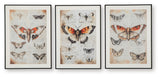 Jossletts - Wall Art Set (Set of 3) - Orange / Black / Ivory
